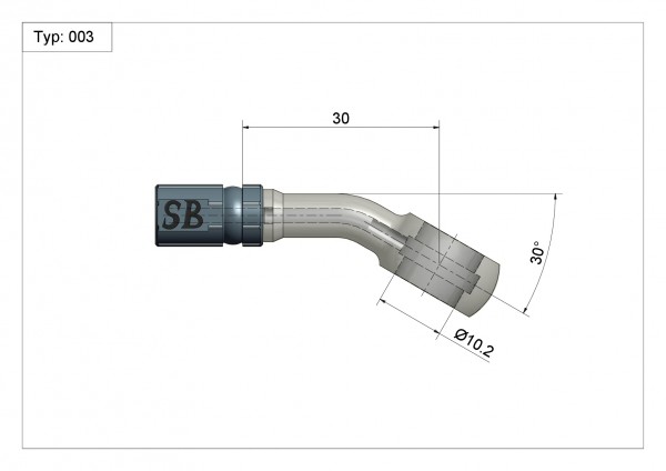 Ringfitting Typ 003 Ø10mm 30° Anschluss blau